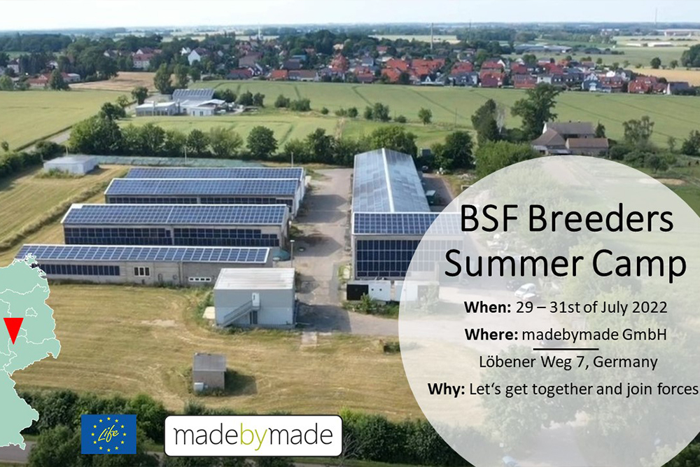 BSF Summer Camp 2022, madebymade, Pegau