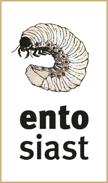 entosiast – mit Insekten in die Zukunft